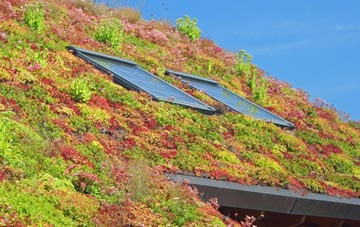 Calmsden living roof systems